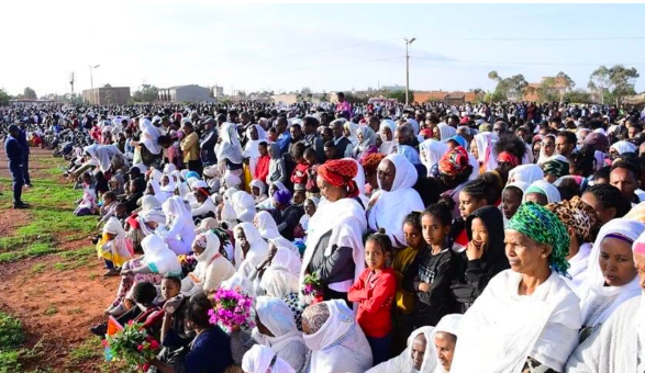 Eritrea: Diaspora Commemorate Martyrs Day