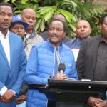 Kalonzo Musyoka Calls for #SabaSaba to Be National Holiday