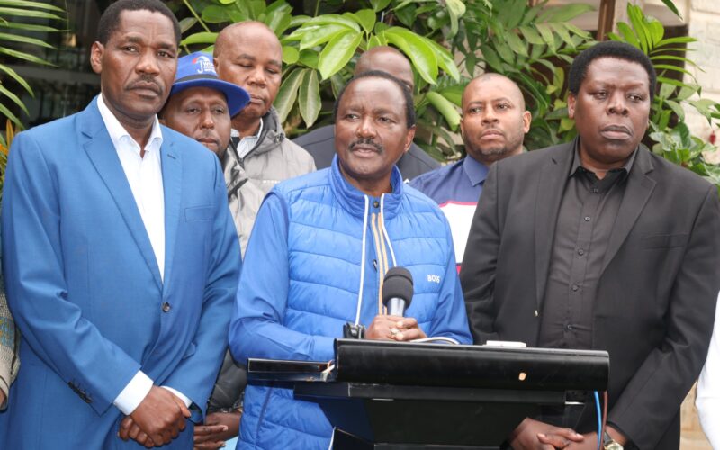 Kalonzo Musyoka Calls for #SabaSaba to Be National Holiday