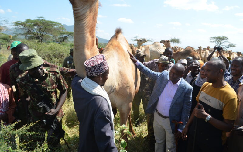 Isiolo MCAs Applaud President Ruto for Re-appointing Prof. Kithure Kindiki