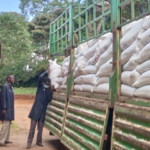 Food for school feeding program received in West Pokot County from Government of Kenya through the National Council for Nomadic Education in Kenya.