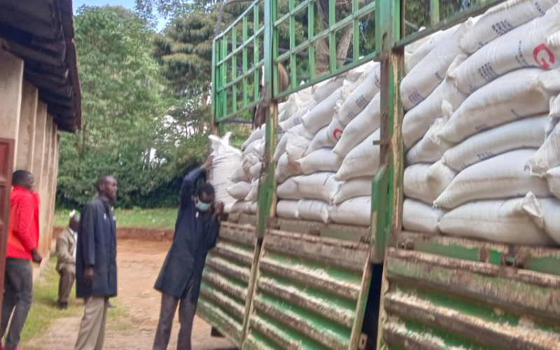 Food for school feeding program received in West Pokot County from Government of Kenya through the National Council for Nomadic Education in Kenya.