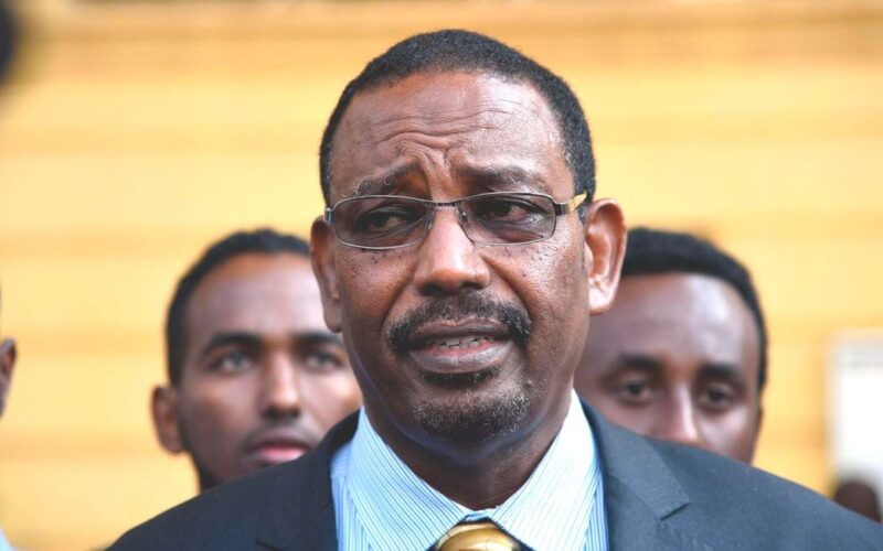 farah maalim daadab mp