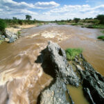 Mara River