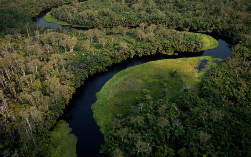 Forest Ecosystems: The Life Support of Our Planet, Stresses UN Deputy Secretary-General Amina Mohammed