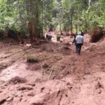 Part of indigenous tree plantation that was swept away by landslide that hit Kapkwang village in Baringo North sub-county.