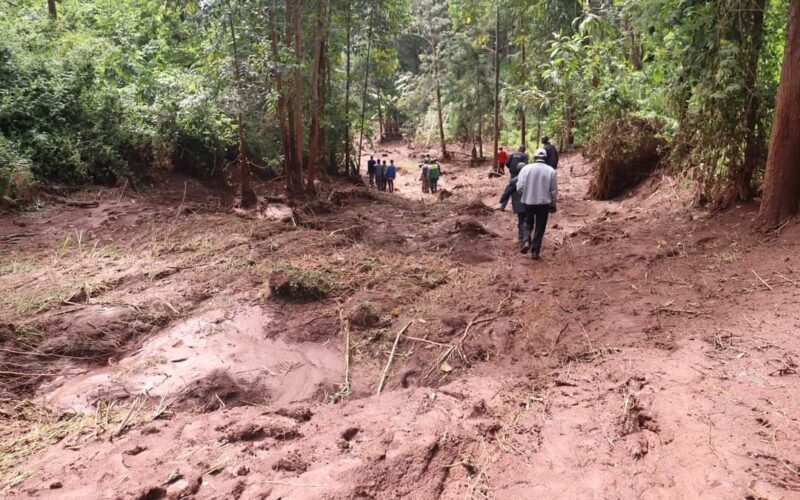 Massive Landslide Hits Baringo North Sub County, Displaces 22 Households and Destroys Farms