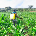 Farmer in Narok County