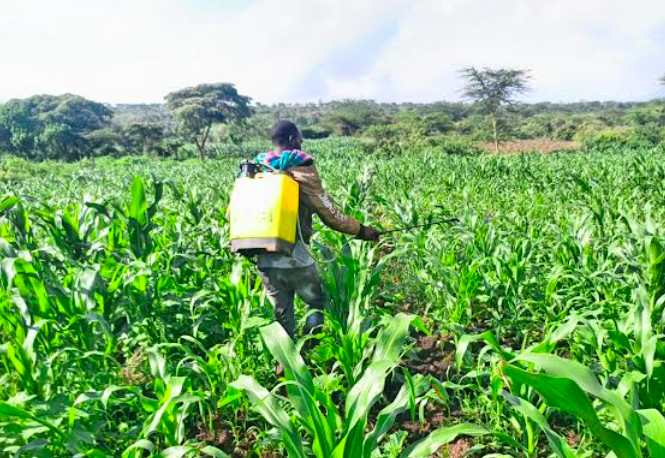 Varsity launch a farmers’ digital platform