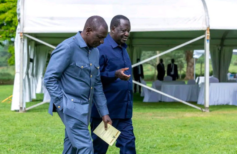 Ruto’s Lawyers Drop Out of Gachagua Impeachment Case