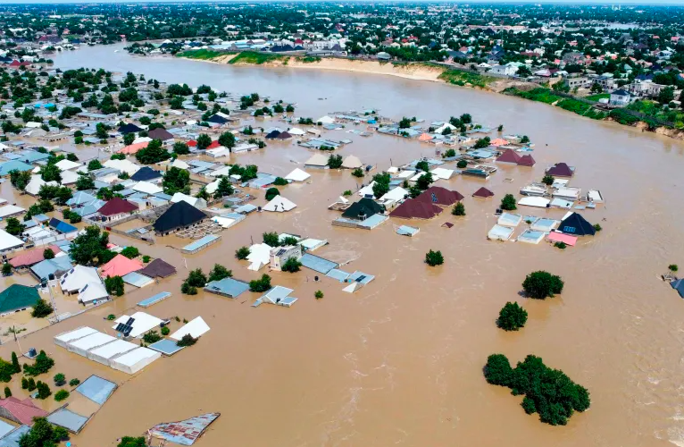 WHO to support flood-displaced persons in Borno State, Nigeria